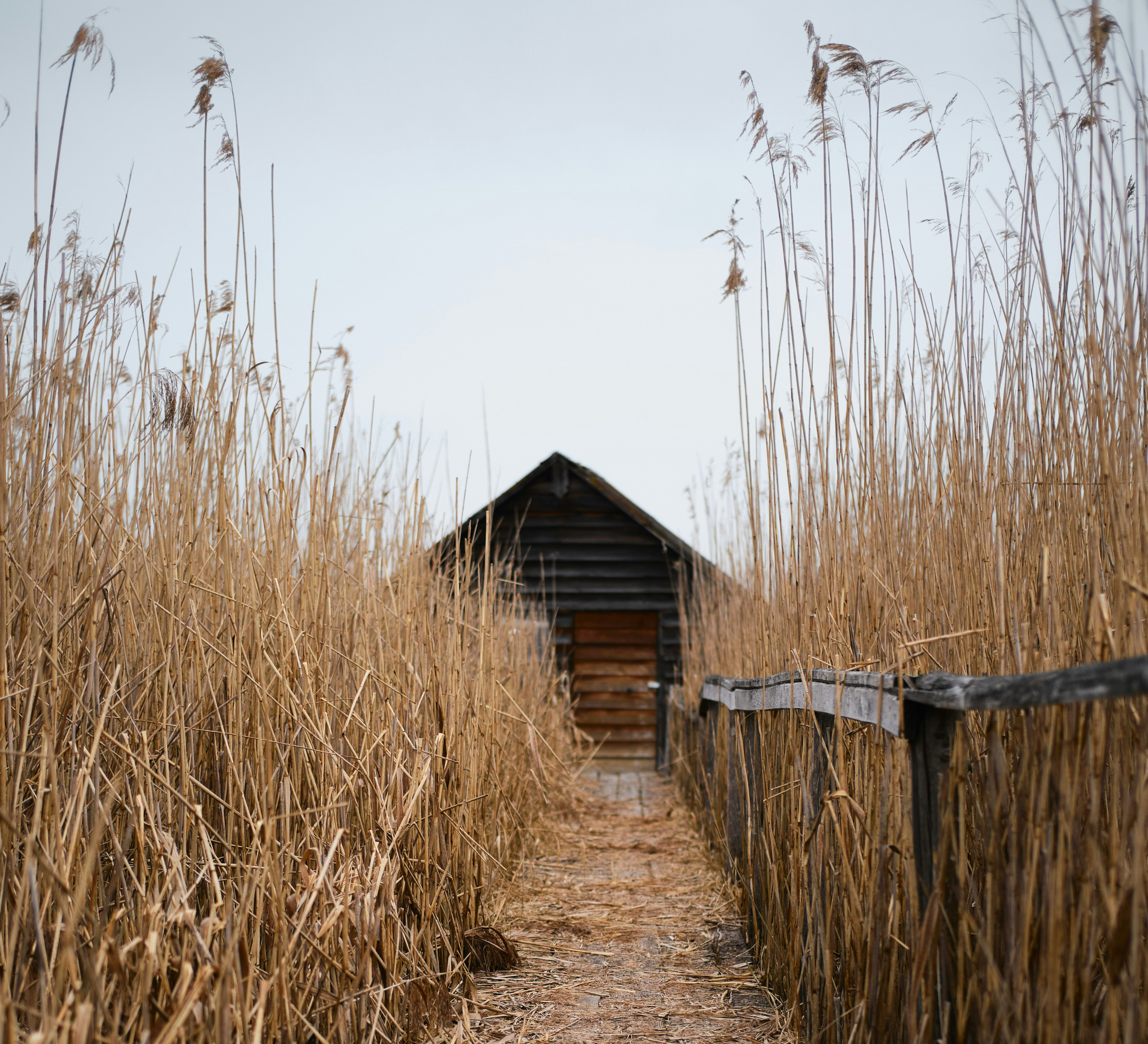 How to avoid a “burnt” property on the market?